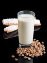 HORCHATA Royalty Free Stock Photo